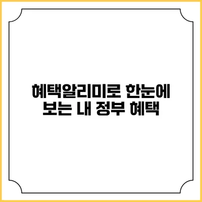 혜택알리미로 한눈에 보는 내 정부 혜택