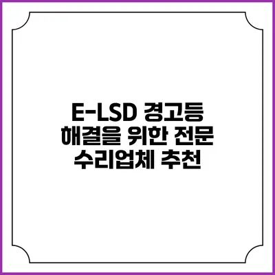 E-LSD 경고등 해결을 위한 전문 수리업체 추천