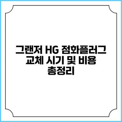 그랜저 HG 점화플러그 교체 시기 및 비용 총정리