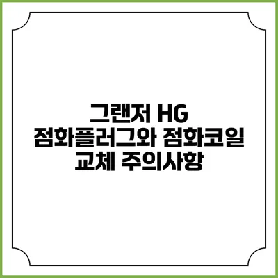 그랜저 HG 점화플러그와 점화코일 교체 주의사항