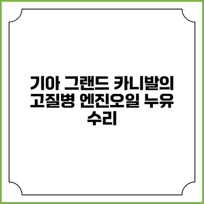 기아 그랜드 카니발의 고질병 엔진오일 누유 수리
