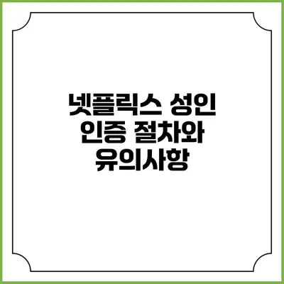 넷플릭스 성인 인증 절차와 유의사항