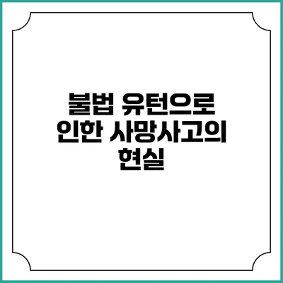 불법 유턴으로 인한 사망사고의 현실
