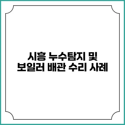 시흥 누수탐지 및 보일러 배관 수리 사례
