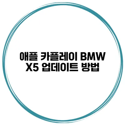 애플 카플레이 BMW X5 업데이트 방법