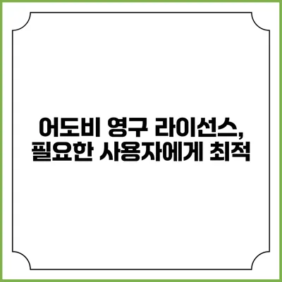 어도비 영구 라이선스, 필요한 사용자에게 최적