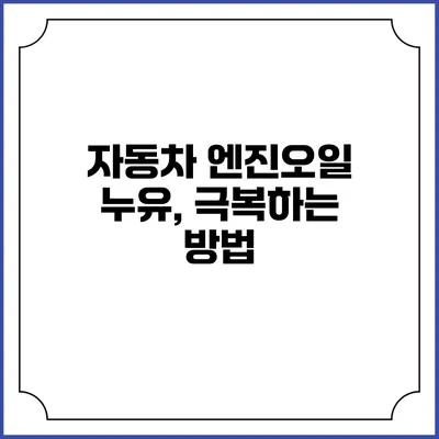 자동차 엔진오일 누유, 극복하는 방법