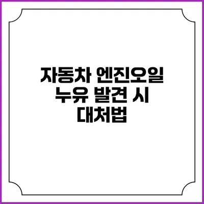 자동차 엔진오일 누유 발견 시 대처법