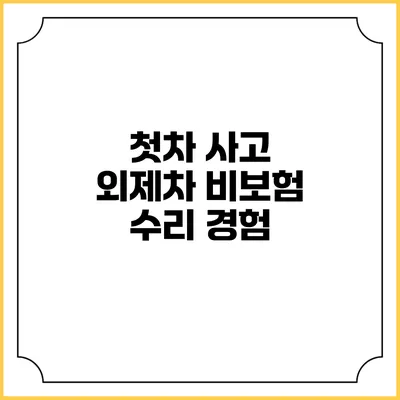 첫차 사고 외제차 비보험 수리 경험