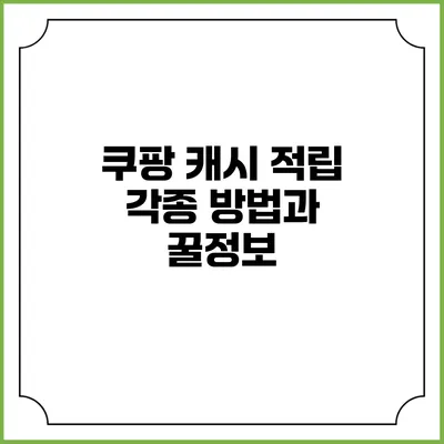 쿠팡 캐시 적립 각종 방법과 꿀정보