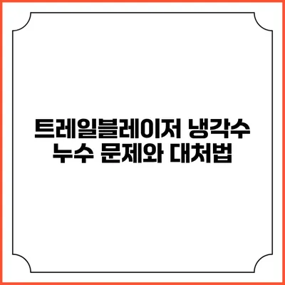 트레일블레이저 냉각수 누수 문제와 대처법