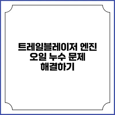 트레일블레이저 엔진 오일 누수 문제 해결하기