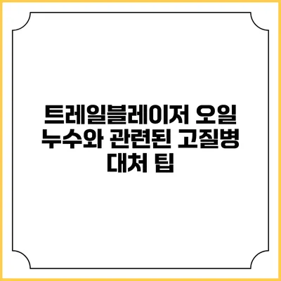 트레일블레이저 오일 누수와 관련된 고질병 대처 팁